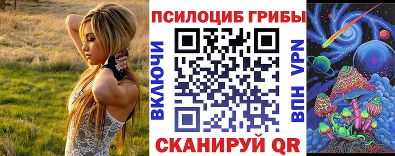 Галлюциногенные грибы Psilocybine cubensis  Купить  Печора 